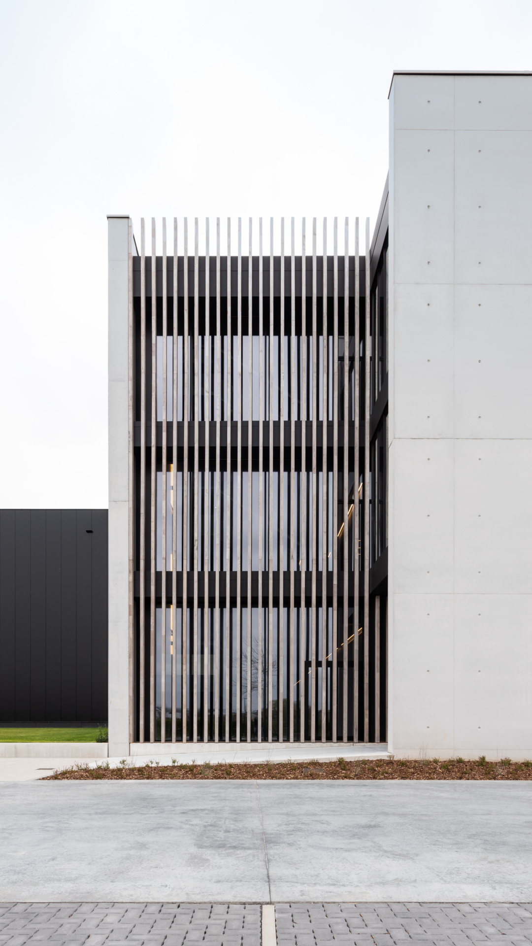 DLD Linum 57