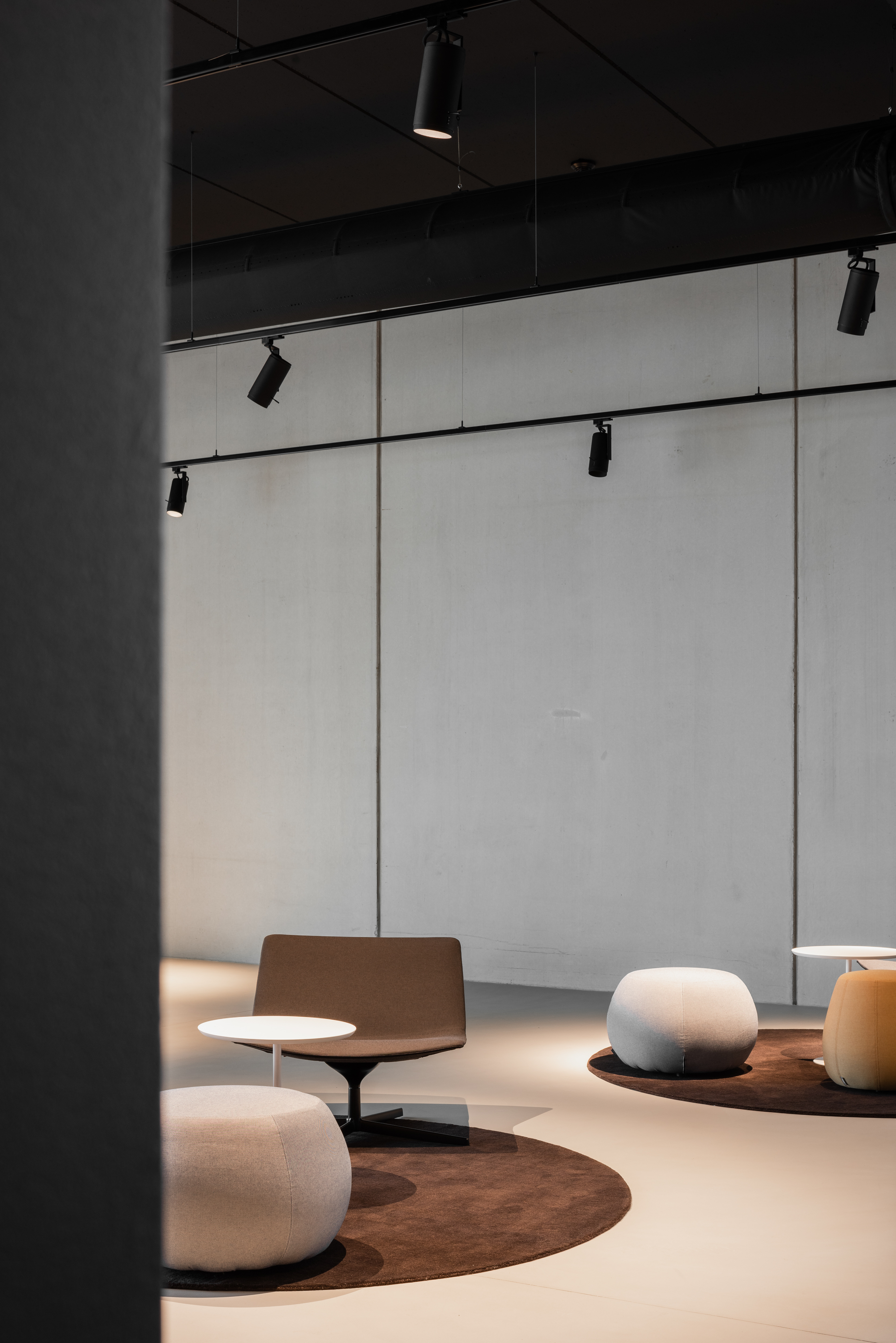 DLD Linum 24